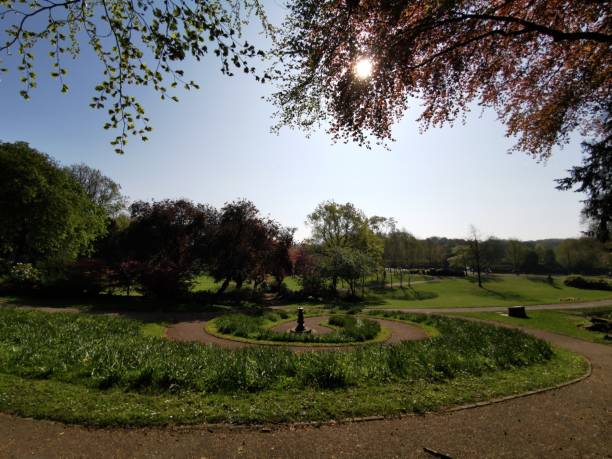 istock Sun shinning down in the park 1144557389