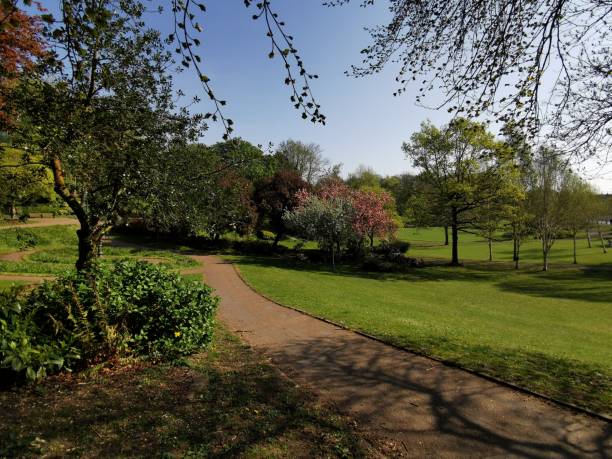 istock Stunning springs morning, Preston 1144557460