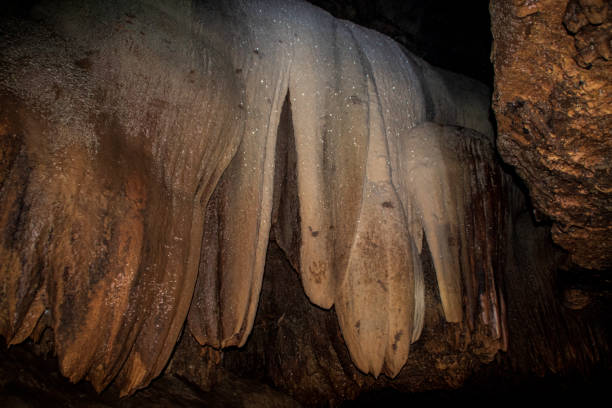 stalagtit e staglagmit bonitos na caverna bantul yogyakarta de cerme, java central, indonésia - algi - fotografias e filmes do acervo