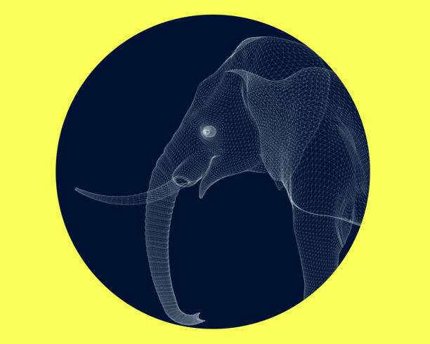 istock Wireframe of the head of an elephant in a circle. 3D Polygonal elephant made from white lines. Vector illustration 1144563939