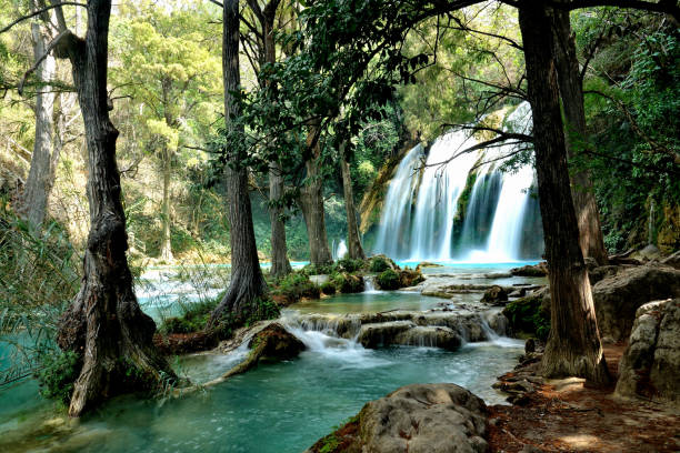Mexico El Chiflon waterfalls stock photo