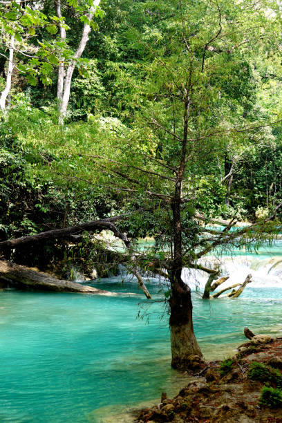 istock Mexico El Chiflon waterfalls 1144567002