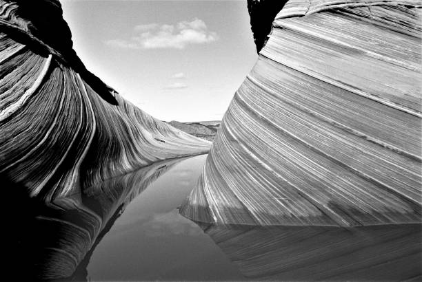 the wave #1 in black and white film vermilion cliffs national monument arizona usa - rock strata natural pattern abstract scenics imagens e fotografias de stock