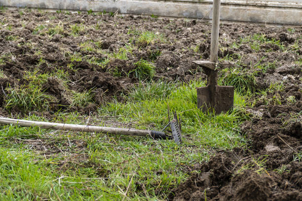 shovel and garden rake, garden tools,