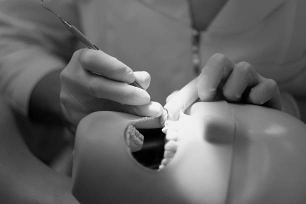 The process of teaching dental treatment on a dummy at the University's Dental Faculty