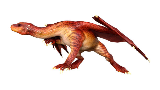 istock 3D illustration fantasy dragon on white 1144568592