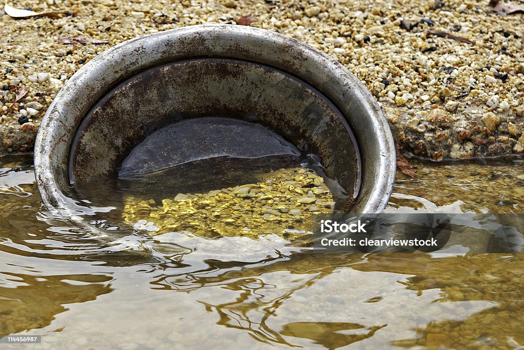 gold pan with golden nuggets  Panning for Gold Stock Photo