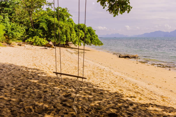 istock An empty simple wooden swing on tropical beach, Thailand 1144571937
