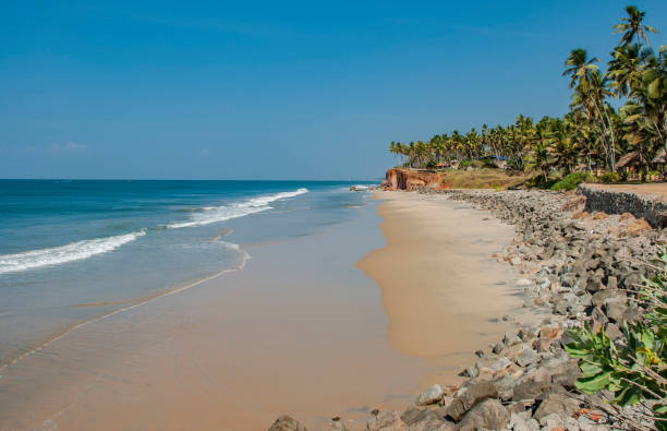 istock Beach with palm trees in Varkala in India 1144575045