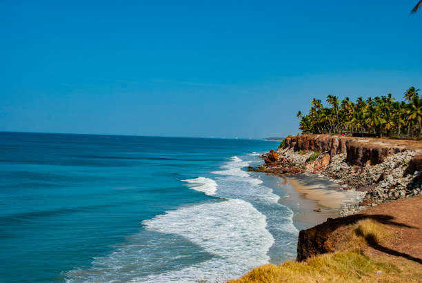 istock Beach with palm trees in Varkala in India 1144575050