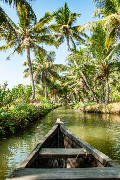 boat trip through the backwater canals of munroe island in kollam in india - kerala imagens e fotografias de stock