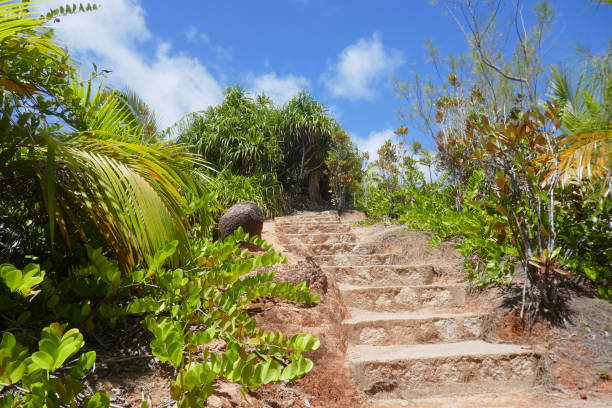 istock Fond Ferdinand Nature reserve, Praslin Island, Seychelles 1144575314
