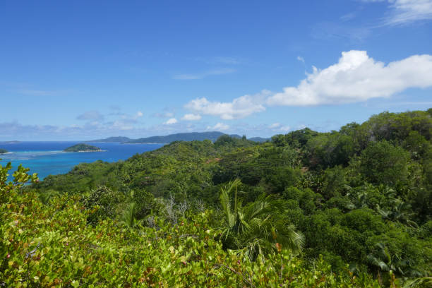 istock Fond Ferdinand Nature reserve, Praslin Island, Seychelles 1144575407
