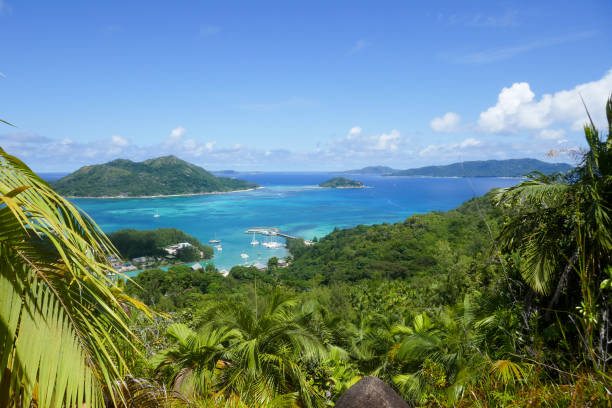 istock Fond Ferdinand Nature reserve, Praslin Island, Seychelles 1144575519