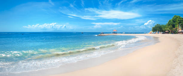 istock Idyllic tropical beach, palm, white sand and crystal clear water 1144576027