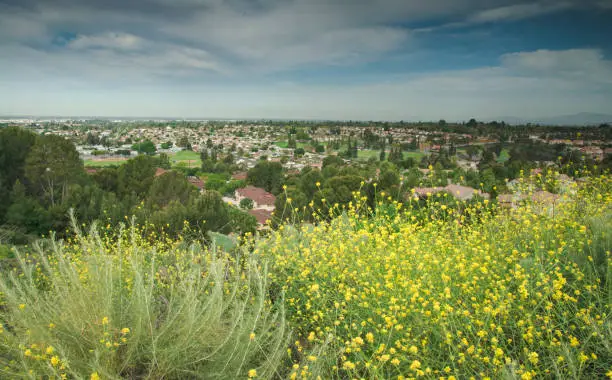 Photo of The city-scape.