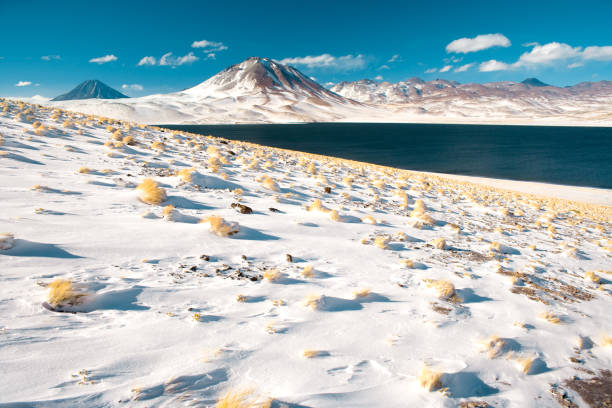 laguna miscanti (miscanti lagoon) y cerro miscanti (miscanti hill) en el altiplano (alta meseta andina) a una altitud de 4350m - cerro miscanti fotografías e imágenes de stock