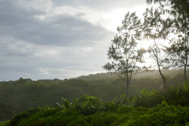 istock Grand Anse, La Digue Island, Seychelles 1144585950