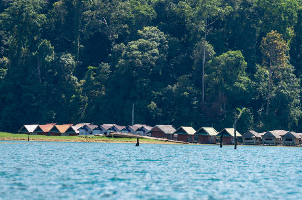 istock Khao Sok Lake National Park 1144587981