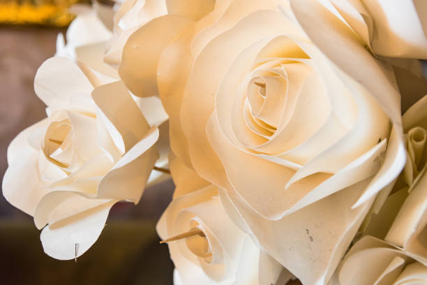 istock Rose hand made from paper for background 1144589203