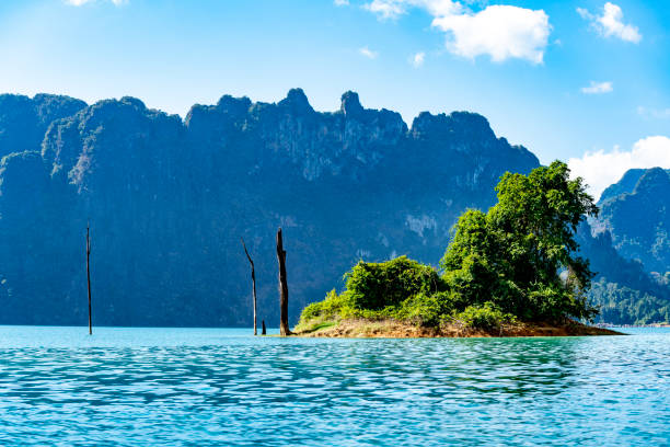 istock Khao Sok Lake National Park 1144591250
