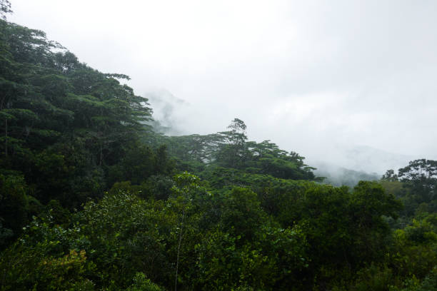 istock Morne Seychelles National Park, Seychelles 1144591702