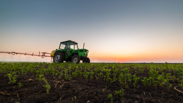 istock Tractor spraying pesticides at  soy bean fields 1144591719