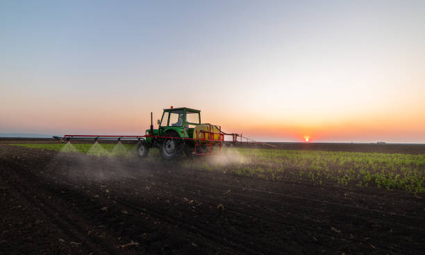 istock Tractor spraying pesticides at  soy bean fields 1144591826