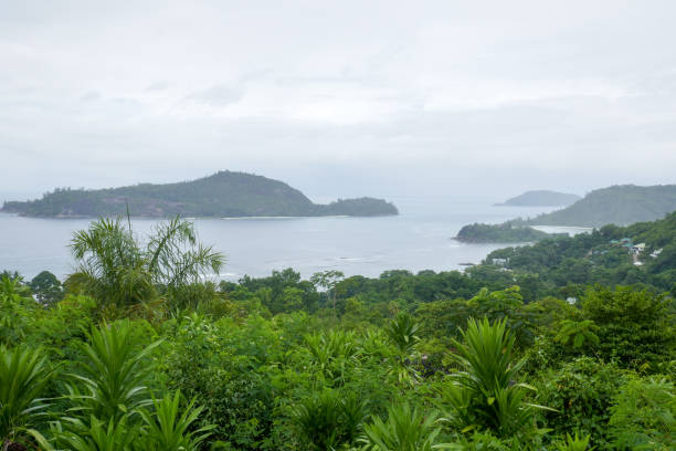 istock Morne Seychelles National Park, Seychelles 1144592562