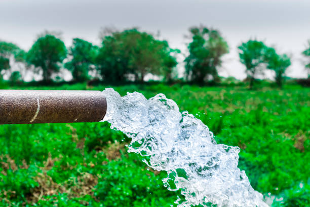 sweet drinking water being flush out from ground b heavy duty diesel high pressure water tube well at agriculture fields somewhere in Pakistan sweet drinking water being flush out from ground b heavy duty diesel high pressure water tube well at agriculture fields flushing water stock pictures, royalty-free photos & images