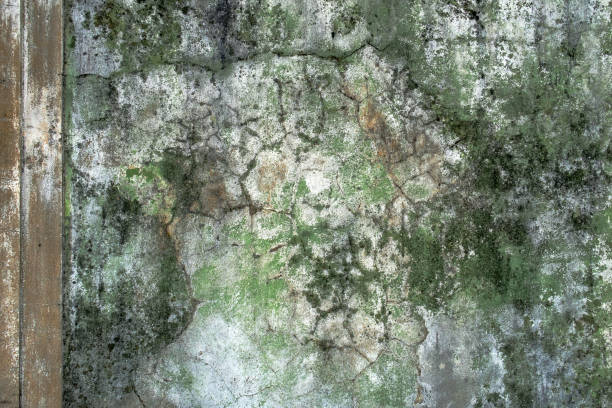 istock detail of old wall 1144596151