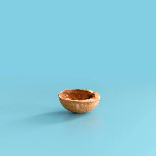 Half walnut shell on blue background. Minimal concept