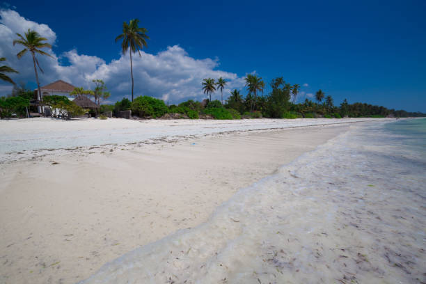 istock Zanzibar, landscape sea, white sand 1144596377