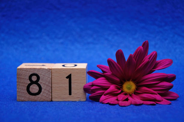 istock Number eighty one with a purple daisy on a blue background 1144598078