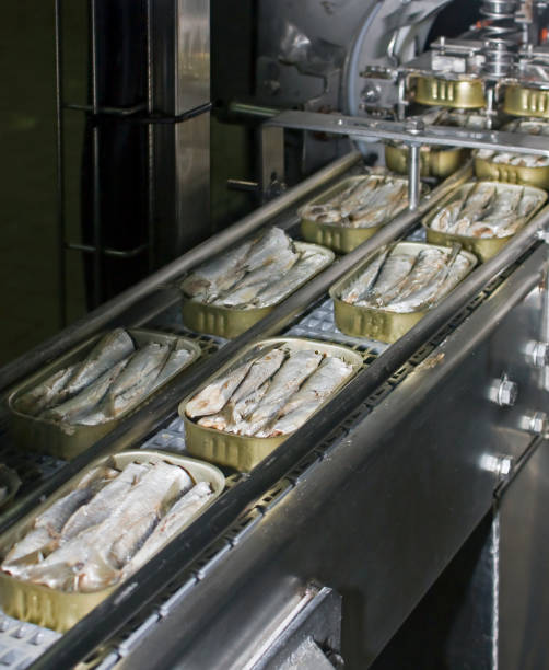 Row of fish cans on conveyor belt.