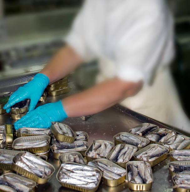 Worker preparing fish to can. Raw fish and cans.