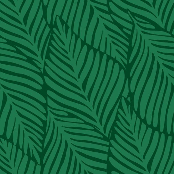 illustrazioni stock, clip art, cartoni animati e icone di tendenza di stampa della giungla naturale estiva. pianta esotica. modello tropicale, - banana leaf