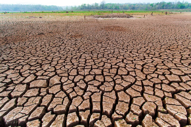 istock Cracked dry land without wate 1144602242