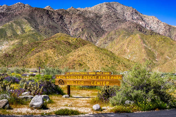 anza-borrego desert state park visitor center schild von wildblumen während einer frühlingssuperblüte, südkalifornien - wildflower california desert spring stock-fotos und bilder