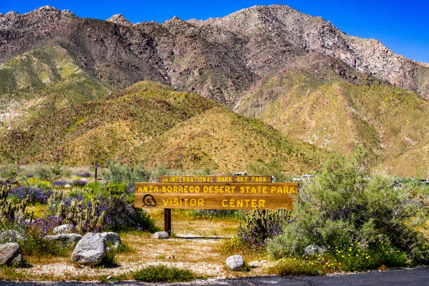 Anza-Borrego Desert State Park Visitor Center sign surrounded by wildflowers during a spring superbloom, south California Anza-Borrego Desert State Park Visitor Center sign surrounded by wildflowers during a spring superbloom, south California anza borrego desert state park stock pictures, royalty-free photos & images