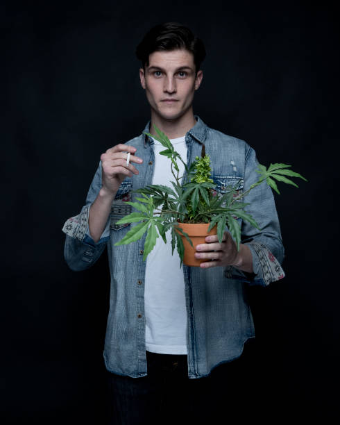 istock Close up view of man with marijuana plant 1144607229