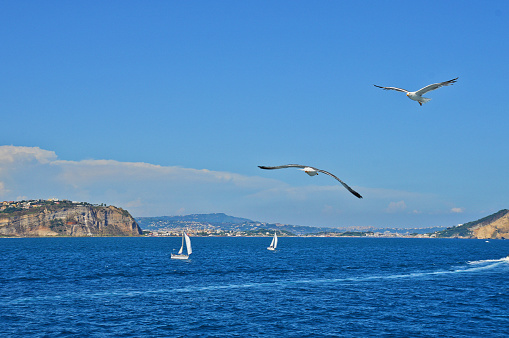 On a summer day the seagulls fly over the ship