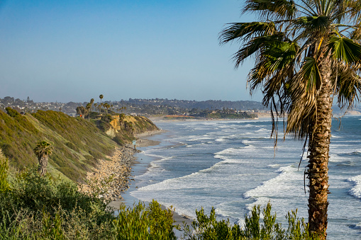 Encinitas Coastline with Palm Trees view from Swamis Beach in the late afternoon in the Spring in Encinitas, San Diego, California. Southern California.