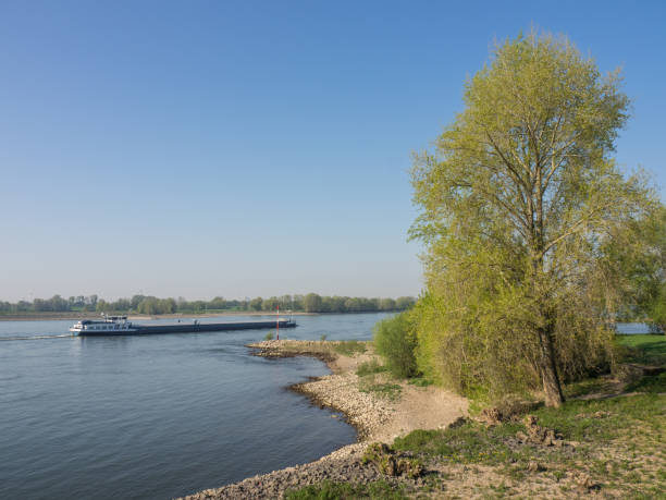 istock the river rhine in germany 1144611266