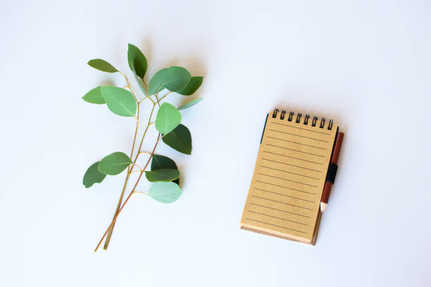 istock Notebook with sprigs of eucalyptus. 1144612550