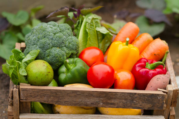 istock Fresh vegetable in basket at home garden 1144613452