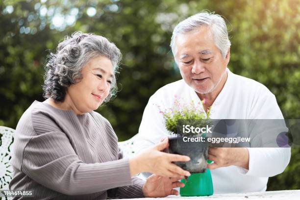 祖母は祖父が植物の世話をするのを手伝う。