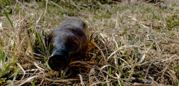 Glass brown bottle in the meadow on the grass.