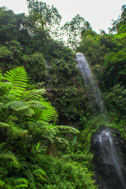 istock Beautiful Waterfall in Naringgul Village at Cianjur, West Java, Indonesia 1144616641