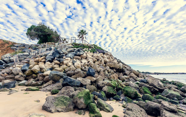 istock Chipiona beach with rocks and palm tree 1144619541